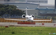 FANTASIA Gulfstream AerospaceG350 B-8316