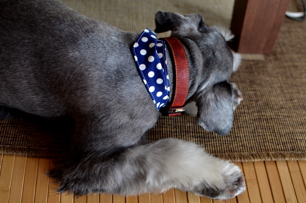 寝てるんだから、起こさないでよ？