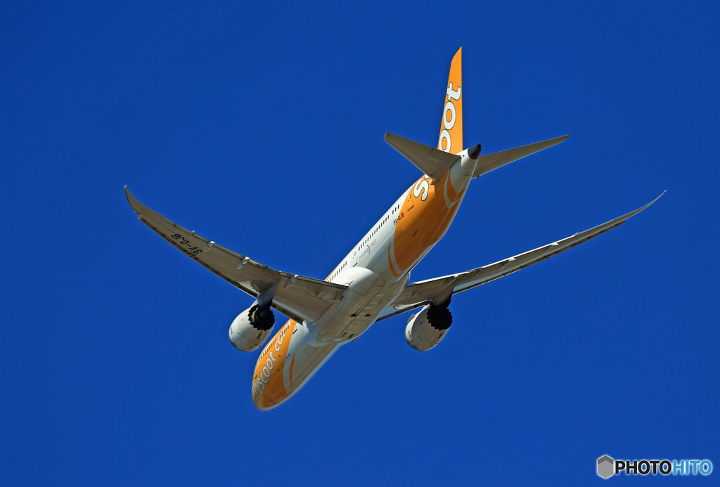 「良い天気」 scoot 787-9 9V-OJB☀