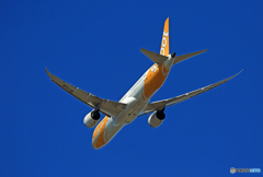 「良い天気」 scoot 787-9 9V-OJB☀