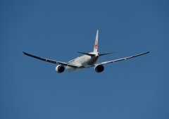 JAL 777-346 