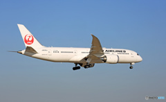 到着 JAL 787-8 JA839J