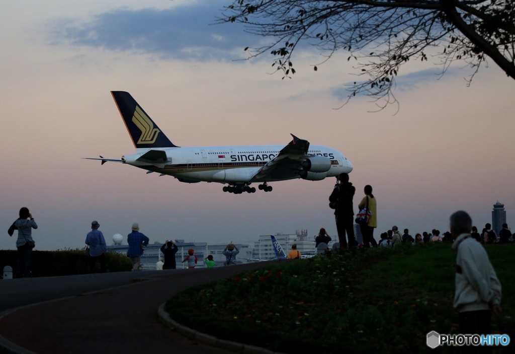 暗くなったので、帰ろかな、最後の1枚でした！