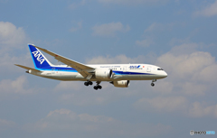 「青空」 ANA 787-8 JA827A 着陸 「青空」 ANA 787-8 JA827A 着陸