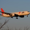JAL 767-300ER 到着