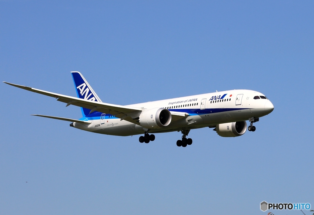 到着　ANA 787-8 JA841A
