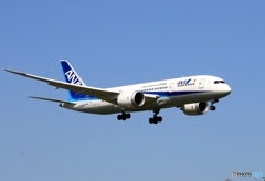到着　ANA 787-8 JA841A