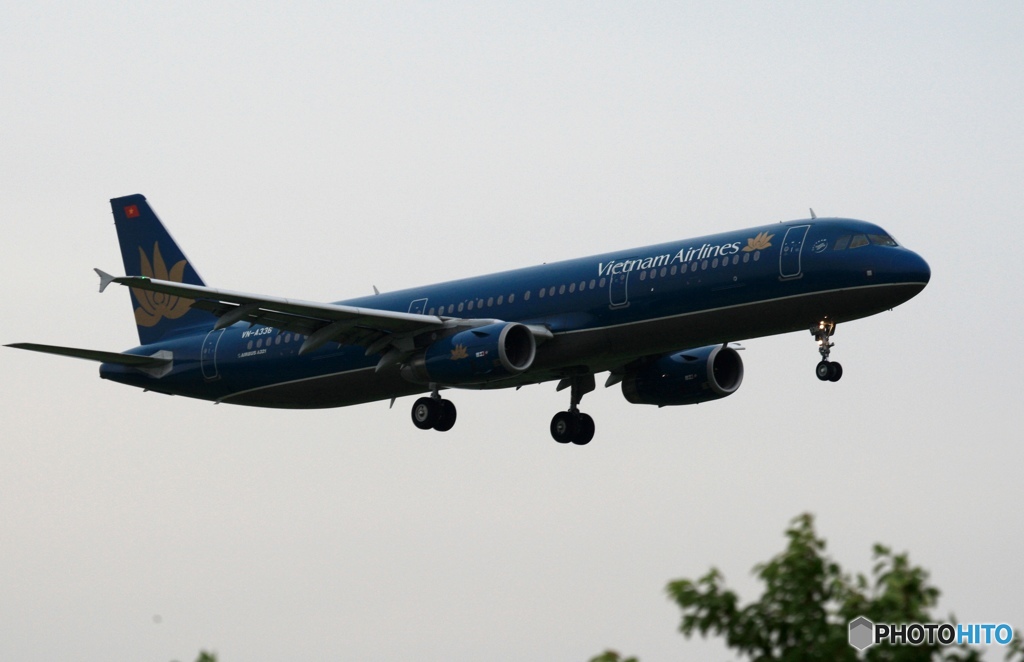 着陸　vietnam A321-200