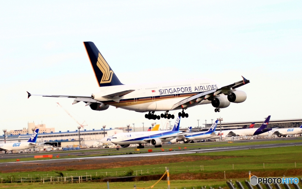 着陸　SINGAPORE A380-841