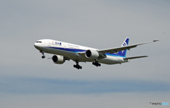 着地前 ANA 777-381 JA781A