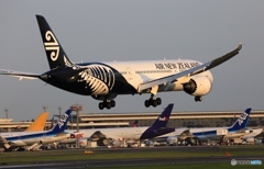 Air New Zealand 787-9 ZK-NZF 着陸　　