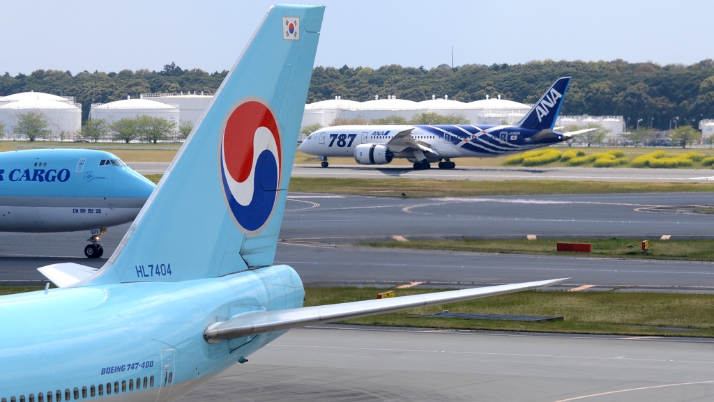 ANA 787 (2)