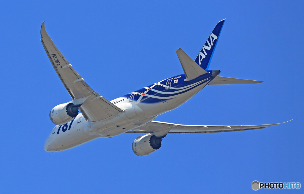 ANA B787-8 JA802A[サバ塗装2号機]綺麗に撮れました!