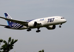 ANA 787-8  さば塗装２号機
