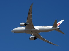 JAL 787-8 