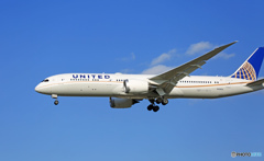 United 787-9 N13954  着陸 