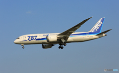 「そらー」ANA 787-8 JA804A来た～