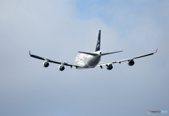 「青い空」が一番THAI 747-400 STAR HS-TGW 「青い空」が一番THAI 747-400 STAR HS-TGW