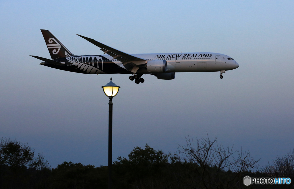 「ライト」Air New Zealand B787-9 ZK-NZH