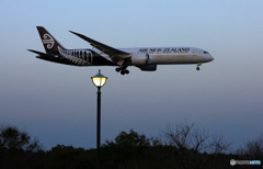 「ライト」Air New Zealand B787-9 ZK-NZH