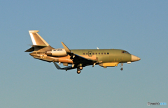 プライベートジェットDassault Falcon 2000 N714RK