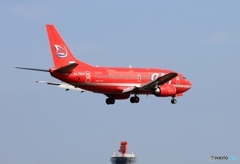 ✈Aurora/オーロラ航空SAT B737-500 RA-73013