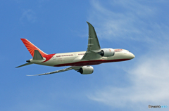 [青い空]　AIR INDIA 787-8 VT-ANO