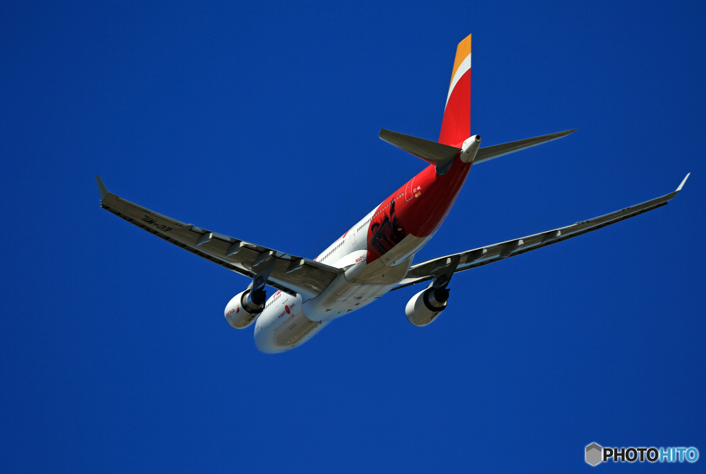 「そらー」イベリア航空「特別塗装」A330-202 EC-MIL