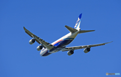 「ぶるー」 NCA 747-8KZF JA13KZ飛び立ち 