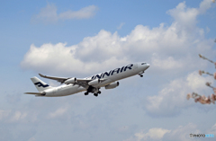 Finnair A340-313 OH-LQB 飛び立ち　