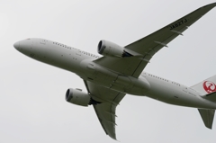 離陸（44）JAL 787-8