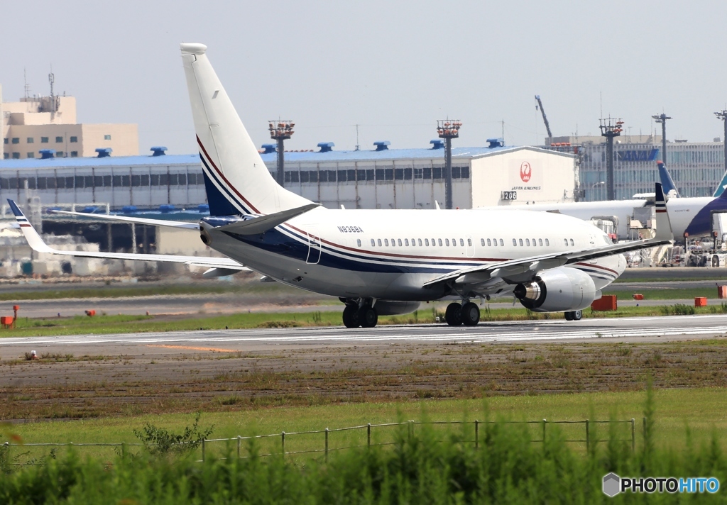 Private:MILLER COLIN CESSNA 170B N8368A