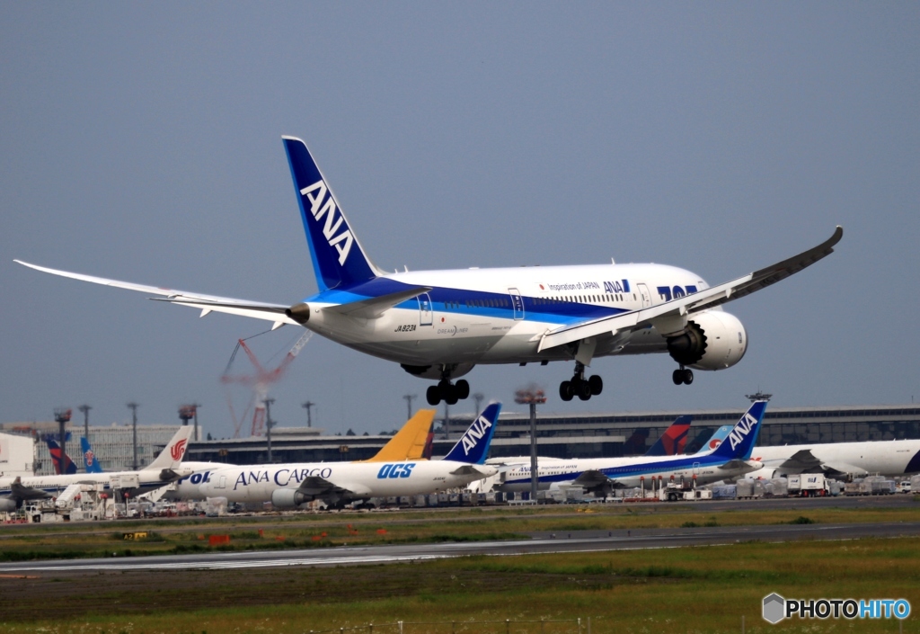 ANA 787-8 着陸　
