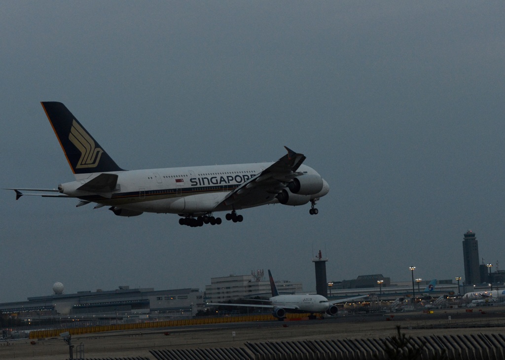 SINGAPORE A380-841 到着