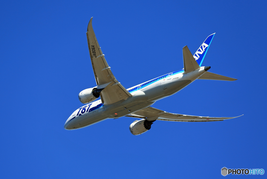 「青い空」が一番 ANA 787-8 JA806A