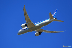 「青い空」が一番 ANA 787-8 JA806A