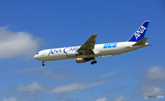 [青空] ANA Cargo 767-381 JA8664
