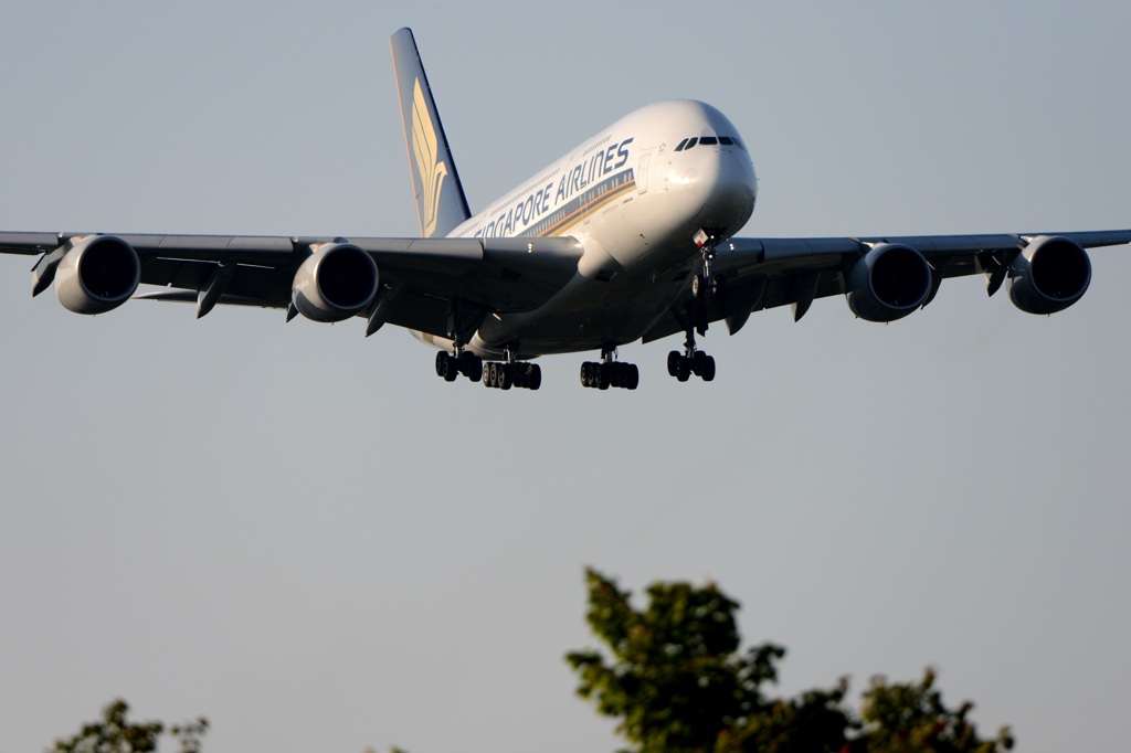 到着　SINGAPORE A380-841