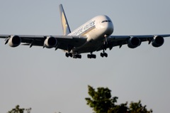 到着　SINGAPORE A380-841