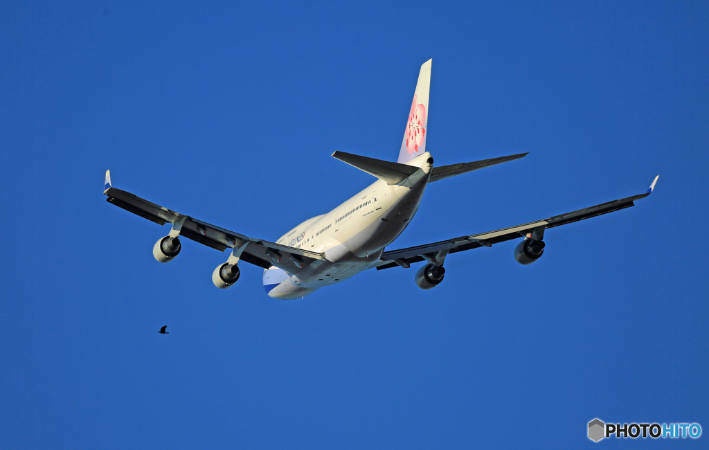 「スカイ」＋鳥China Air 747-400 B-18208 