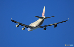 「スカイ」＋鳥China Air 747-400 B-18208 