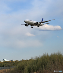 飛行 UNITED 777-224 N79011