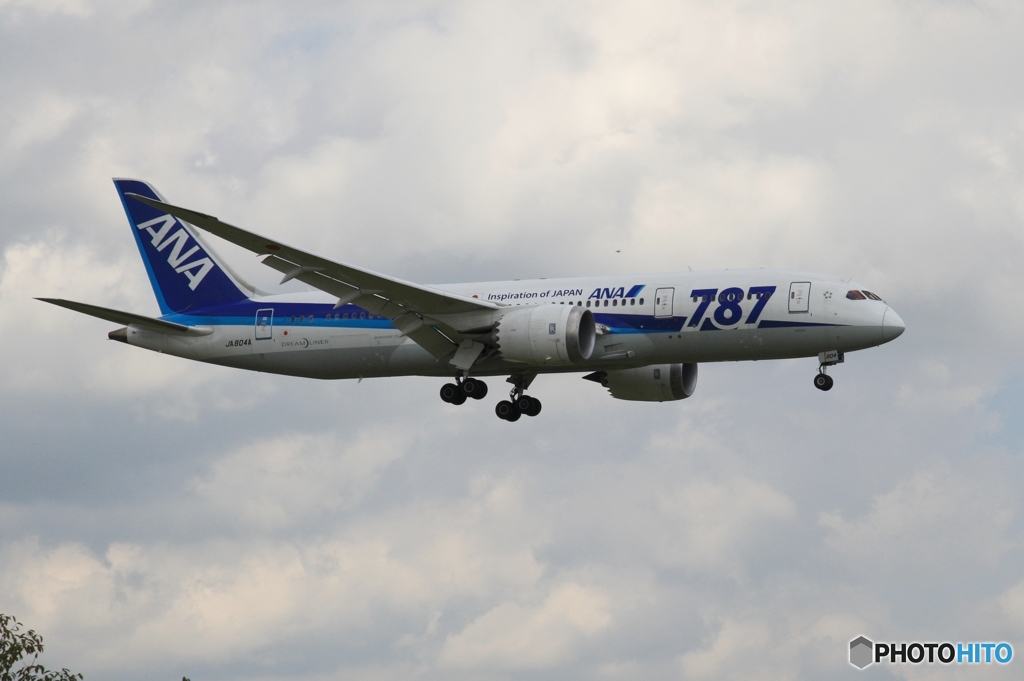 到着　ANA 787-8 JA804A 