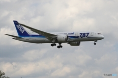 到着　ANA 787-8 JA804A 