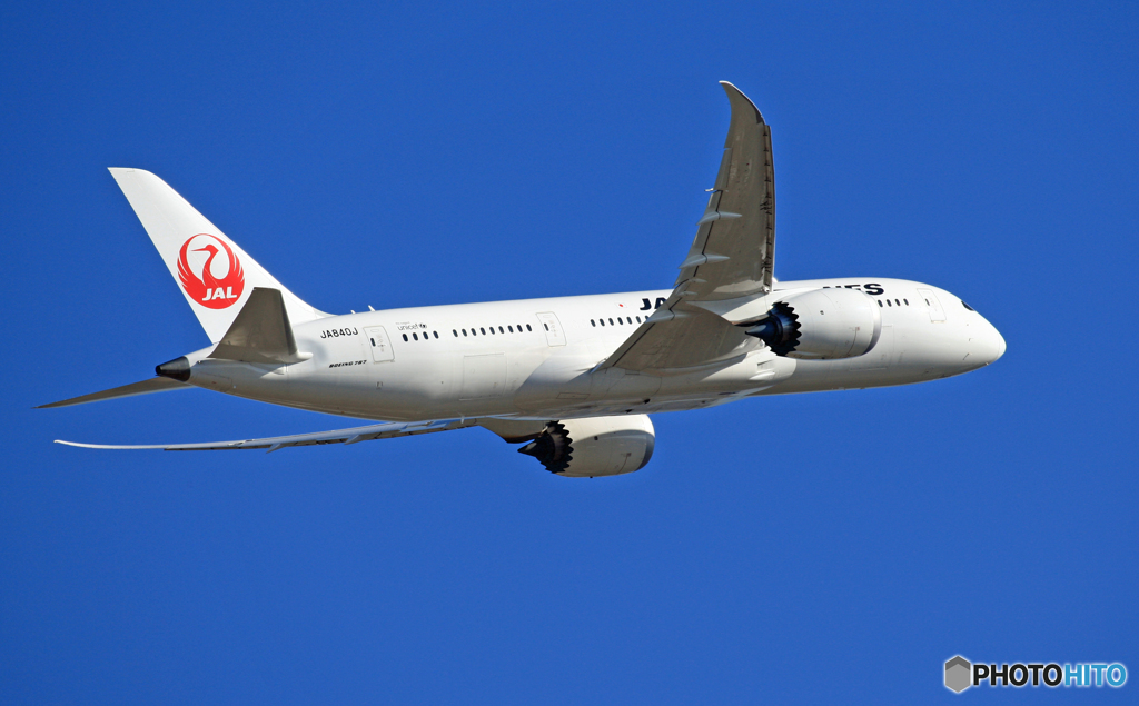 JAL 787-8 JA840J 飛行　