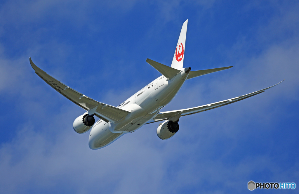 「そらー」 JAL 787-8 JA837J