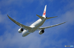 「そらー」 JAL 787-8 JA837J