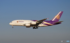 到着 Thai A380-841 HS-TUB
