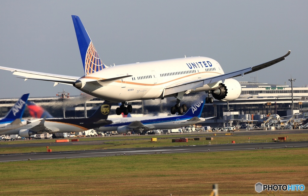 到着　United 787-8 N20904