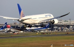 到着　United 787-8 N20904
